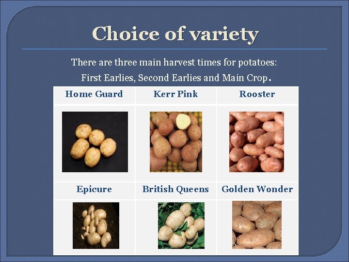 Choice of variety There are three main harvest times for potatoes: First Earlies, Second Choice of variety There are three main harvest times for potatoes: First Earlies, Second