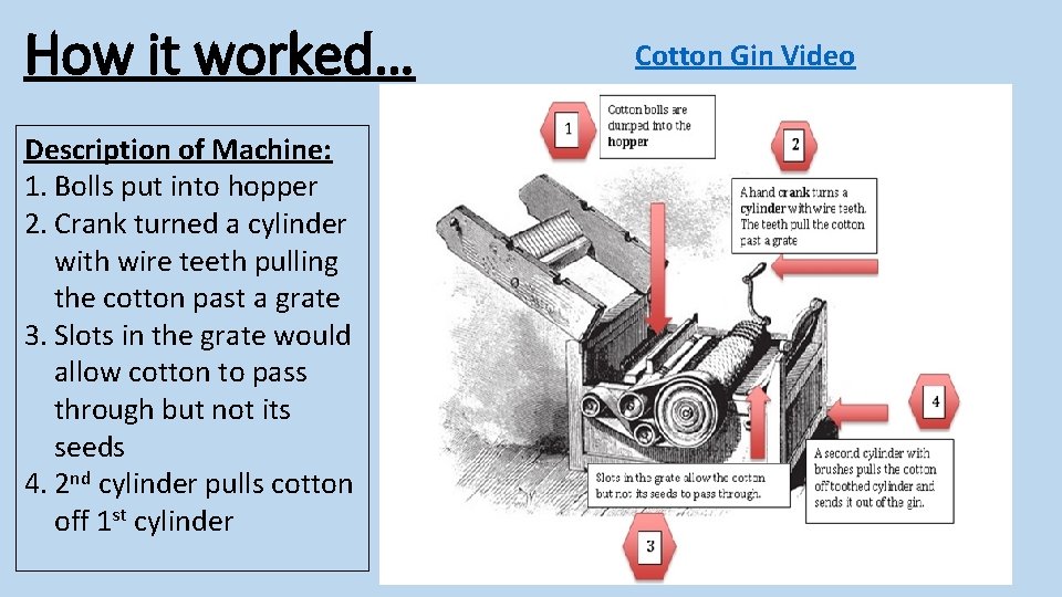 How it worked… Description of Machine: 1. Bolls put into hopper 2. Crank turned