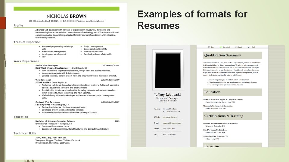 Examples of formats for Resumes 