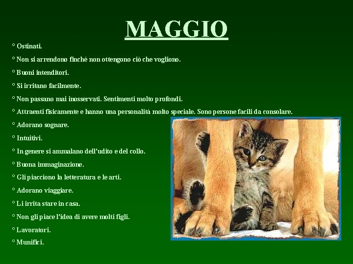 MAGGIO ° Ostinati. ° Non si arrendono finché non ottengono ciò che vogliono. °