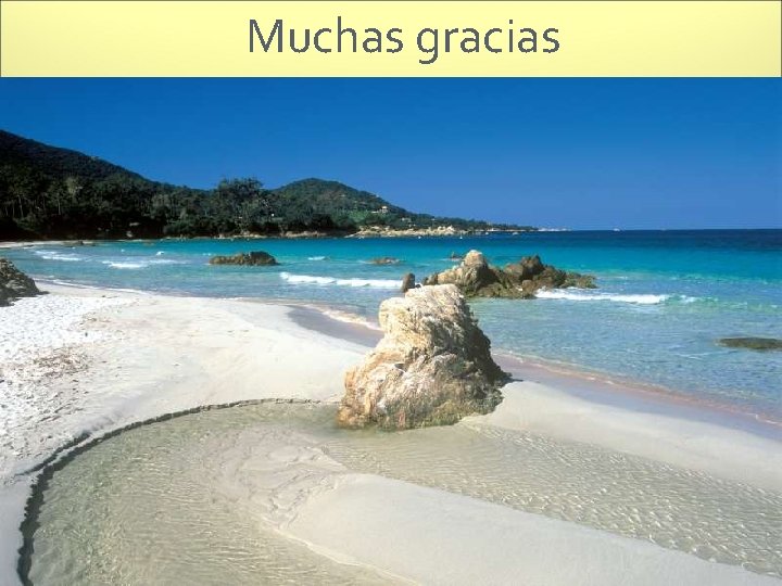 Muchas gracias 