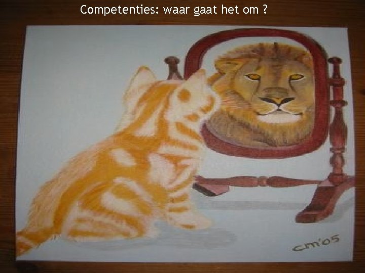 Competenties: waar gaat het om ? 16 