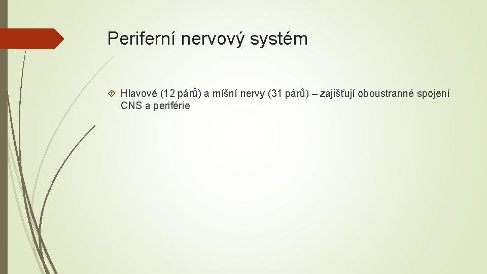 Periferní nervový systém Hlavové (12 párů) a míšní nervy (31 párů) – zajišťují oboustranné