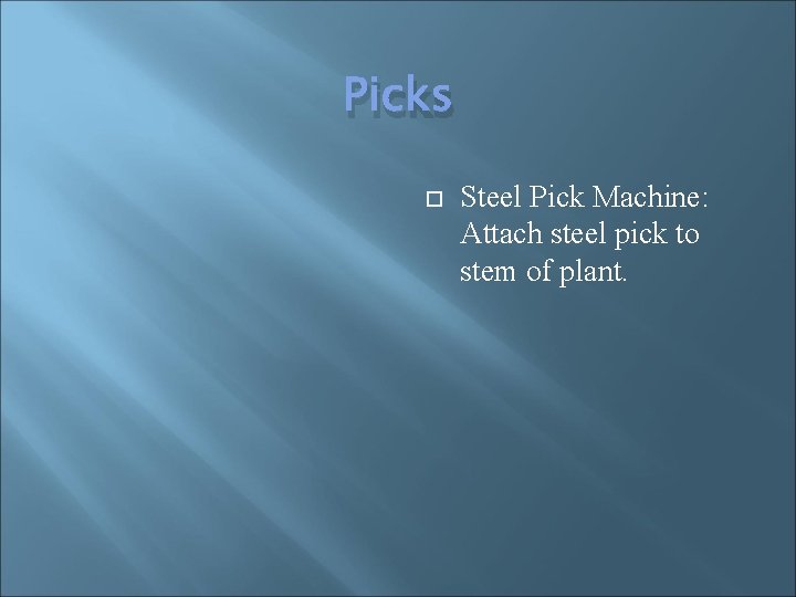 Picks Steel Pick Machine: Attach steel pick to stem of plant. 