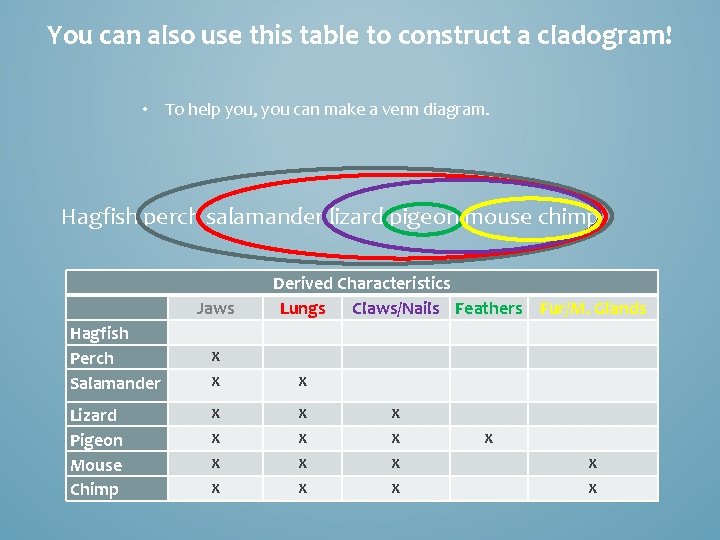 You can also use this table to construct a cladogram! • To help you,