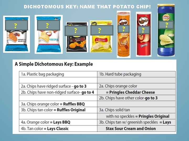 DICHOTOMOUS KEY: NAME THAT POTATO CHIP! ? ? 