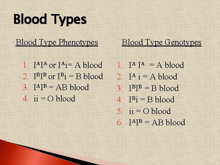 Blood Types Blood Type Phenotypes 1. 2. 3. 4. IAIA or IAi= A blood