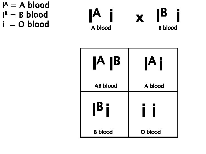 IA = A blood IB = B blood i = O blood A I