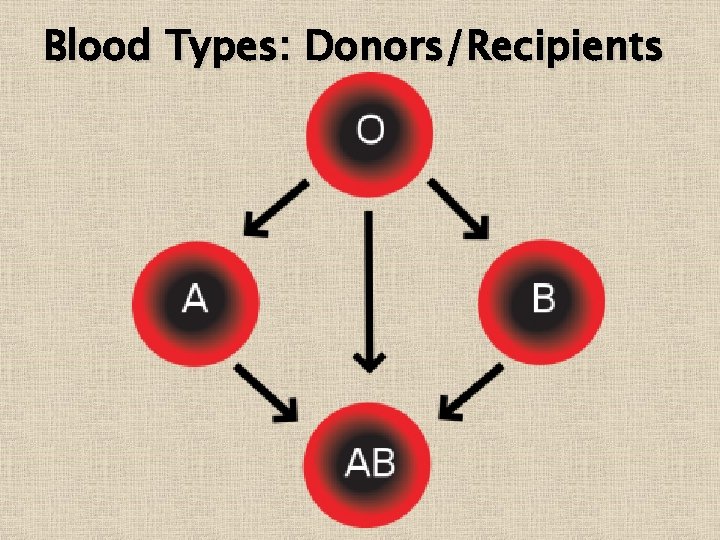 Blood Types: Donors/Recipients 