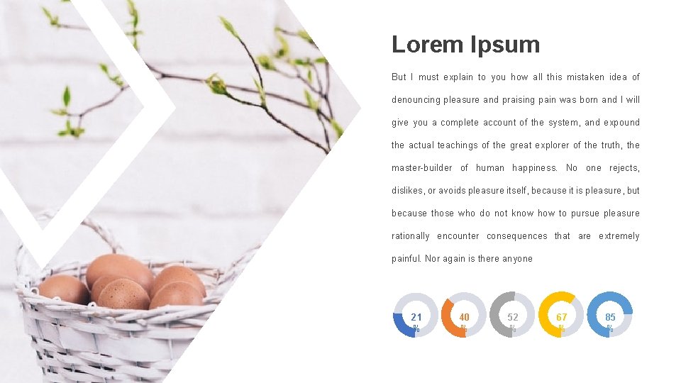 Lorem Ipsum But I must explain to you how all this mistaken idea of