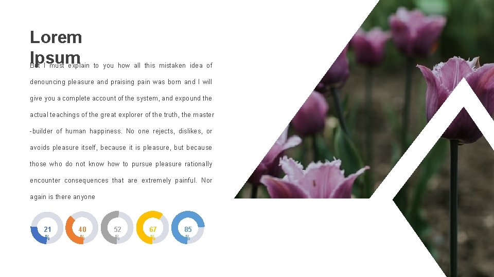 Lorem Ipsum But I must explain to you how all this mistaken idea of