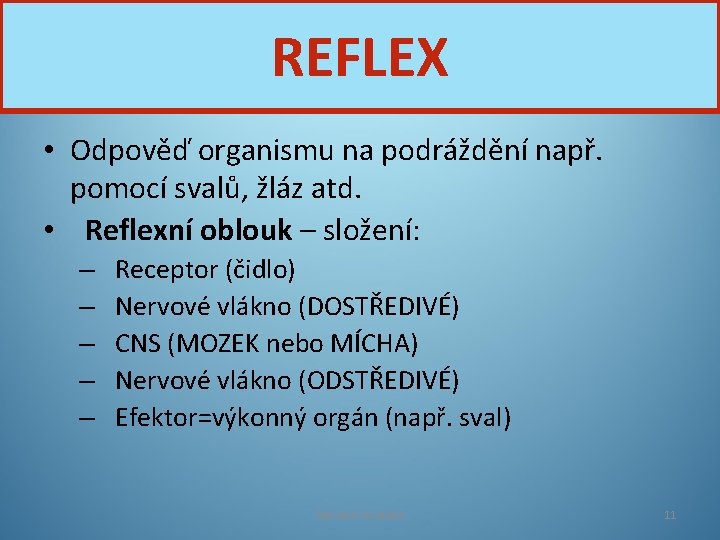 REFLEX • Odpověď organismu na podráždění např. pomocí svalů, žláz atd. • Reflexní oblouk