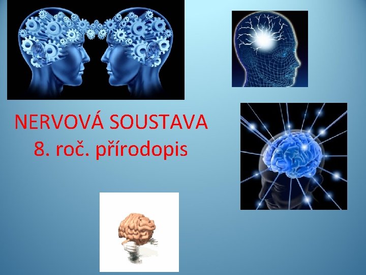 NERVOVÁ SOUSTAVA 8. roč. přírodopis NERVOVÁ SOUSTAVA 8. roč. přírodopis
