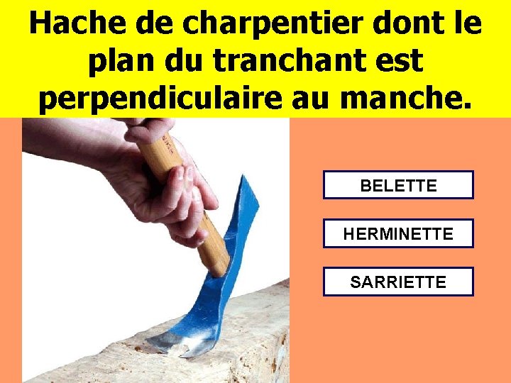 Hache de charpentier dont le plan du tranchant est perpendiculaire au manche. BELETTE HERMINETTE