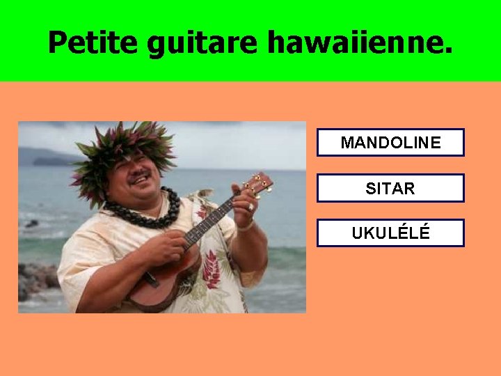 Petite guitare hawaiienne. MANDOLINE SITAR UKULÉLÉ 