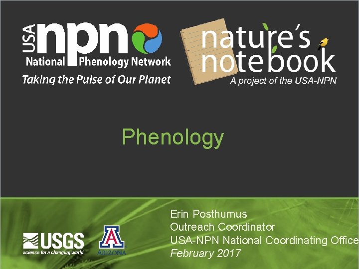 Phenology Erin Posthumus Outreach Coordinator USA-NPN National Coordinating Office February 2017 