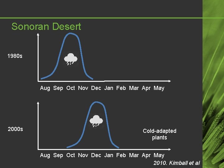 Sonoran Desert 1980 s Aug Sep Oct Nov Dec Jan Feb Mar Apr May