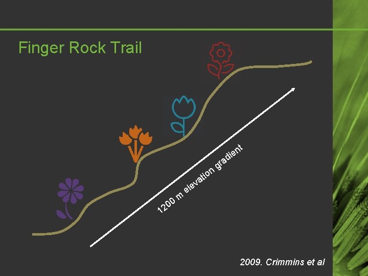 Finger Rock Trail t n 0 20 m tio a v ele n die