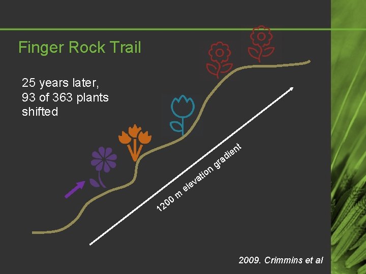 Finger Rock Trail 25 years later, 93 of 363 plants shifted t n 0