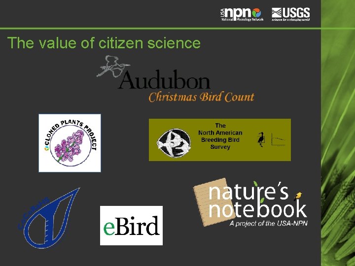 The value of citizen science 