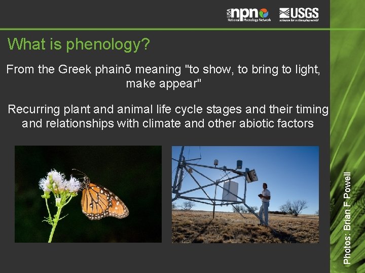 What is phenology? From the Greek phainō meaning "to show, to bring to light,