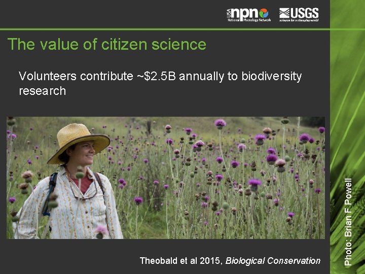 The value of citizen science Theobald et al 2015, Biological Conservation Photo: Brian F