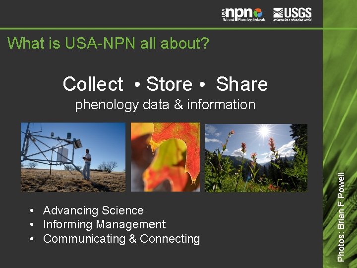 What is USA-NPN all about? Collect • Store • Share • Advancing Science •