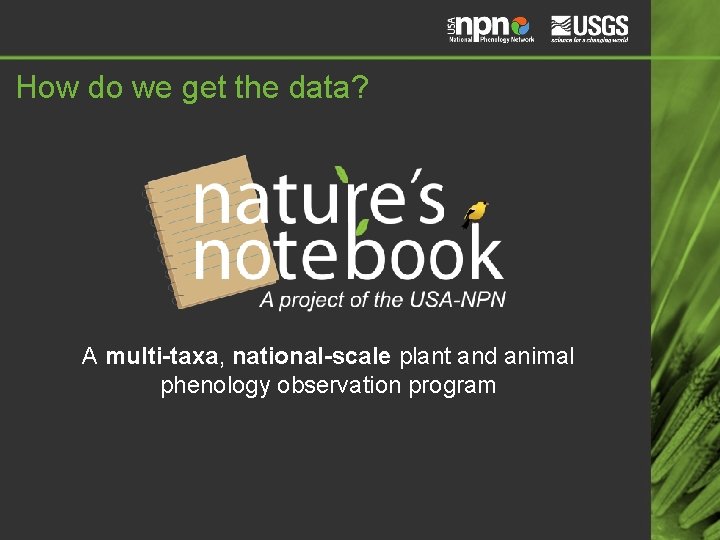 How do we get the data? A multi-taxa, national-scale plant and animal phenology observation