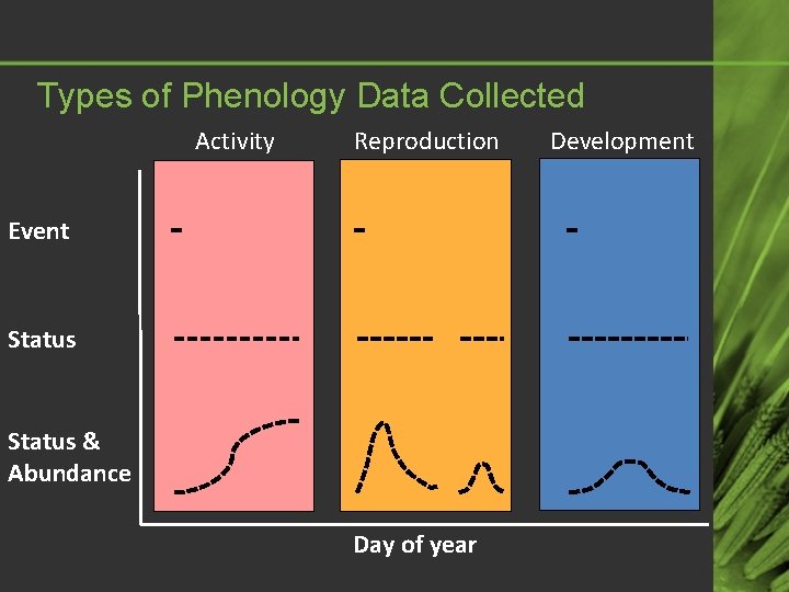 Types of Phenology Data Collected Activity Reproduction Event Status & Abundance Day of year