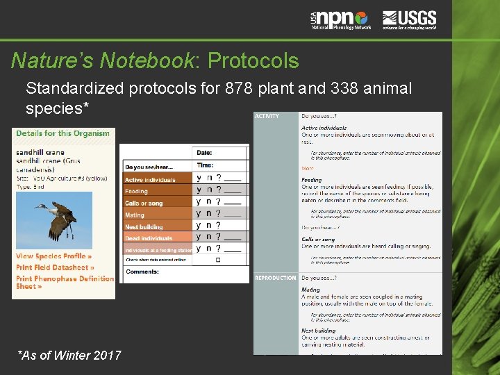 Nature’s Notebook: Protocols Standardized protocols for 878 plant and 338 animal species* *As of