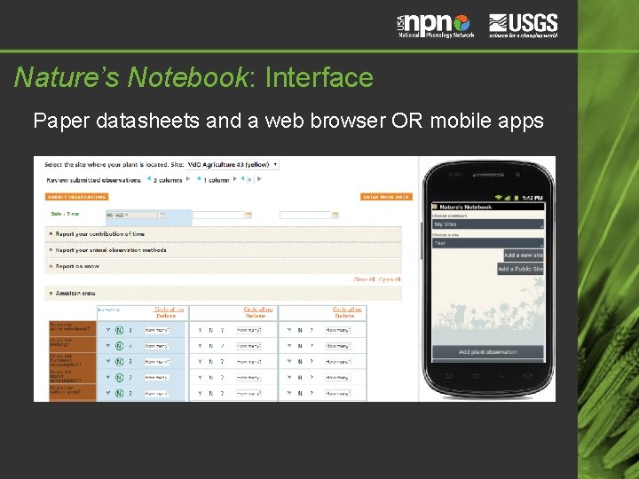 Nature’s Notebook: Interface Paper datasheets and a web browser OR mobile apps 