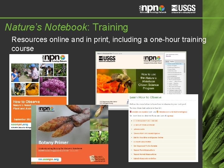 Nature’s Notebook: Training Resources online and in print, including a one-hour training course 