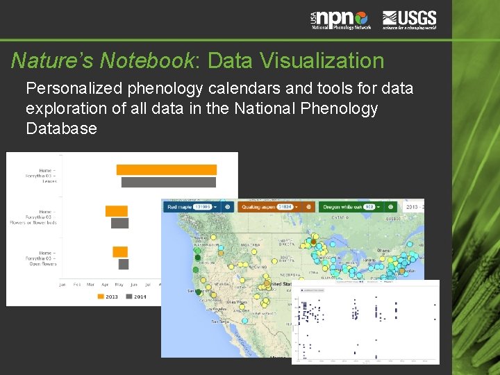 Nature’s Notebook: Data Visualization Personalized phenology calendars and tools for data exploration of all