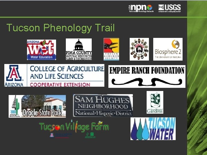 Tucson Phenology Trail 