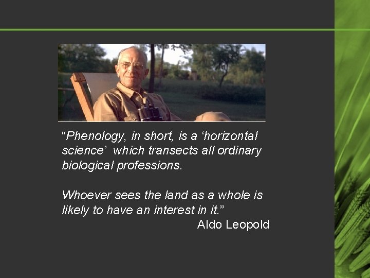 “Phenology, in short, is a ‘horizontal science’ which transects all ordinary biological professions. Whoever