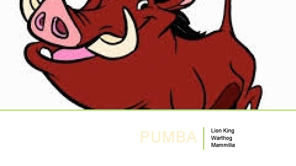 PUMBA Lion King Warthog Mammilia 