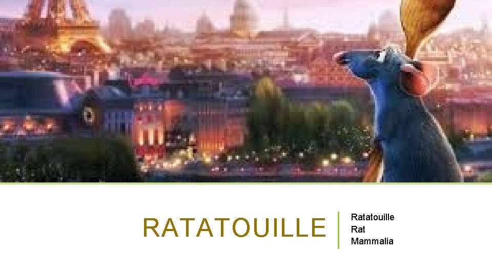 RATATOUILLE Ratatouille Rat Mammalia 