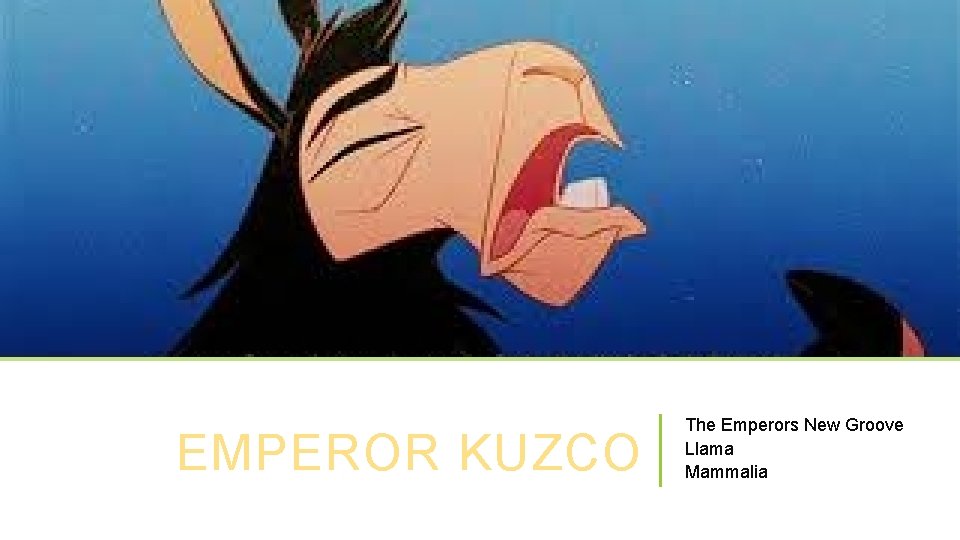 EMPEROR KUZCO The Emperors New Groove Llama Mammalia 