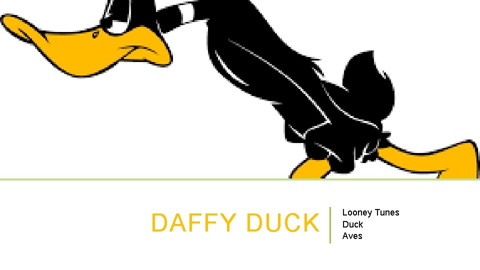 DAFFY DUCK Looney Tunes Duck Aves 