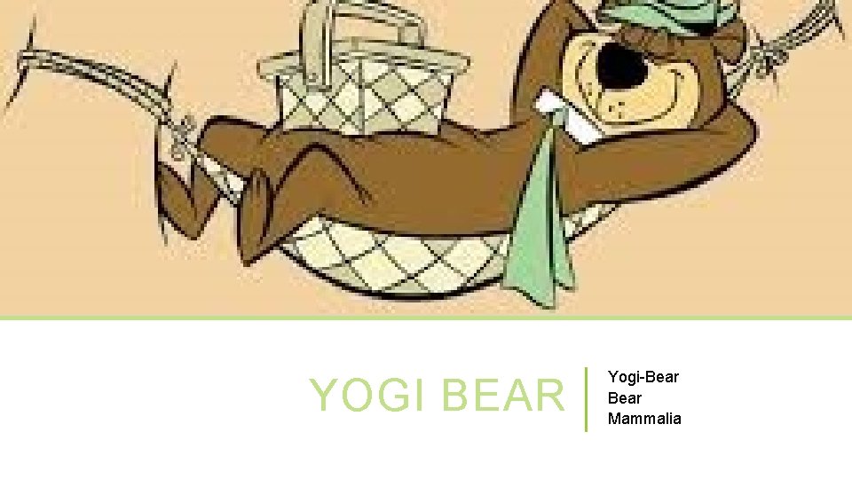 YOGI BEAR Yogi-Bear Mammalia 