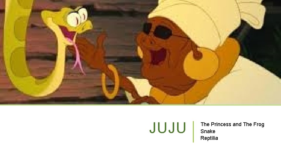 JUJU The Princess and The Frog Snake Reptilia 