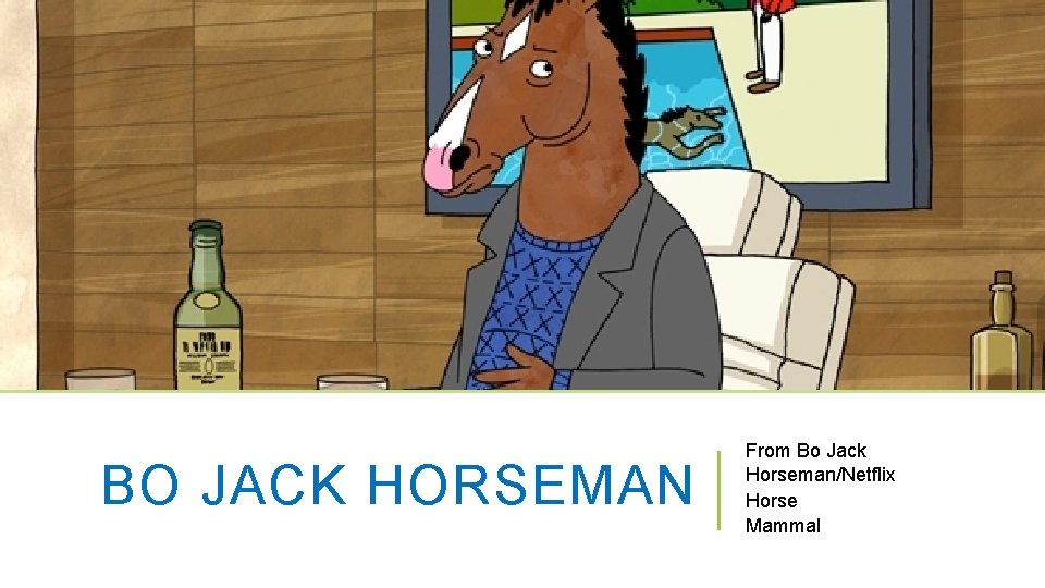 BO JACK HORSEMAN From Bo Jack Horseman/Netflix Horse Mammal 