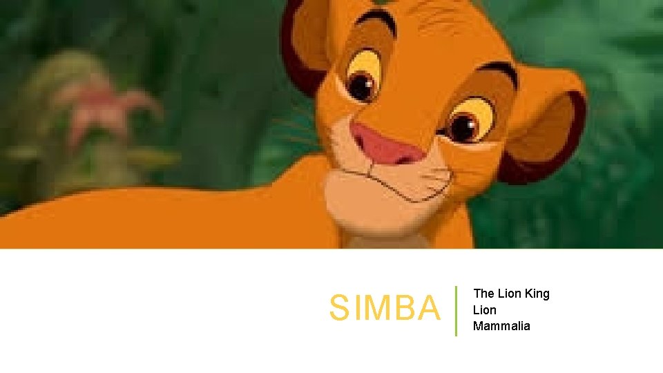 SIMBA The Lion King Lion Mammalia 