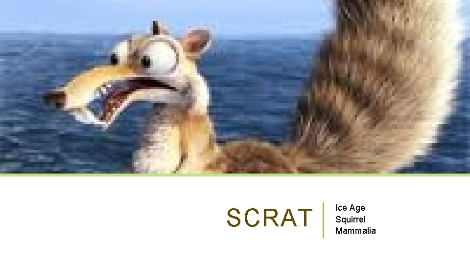 SCRAT Ice Age Squirrel Mammalia 