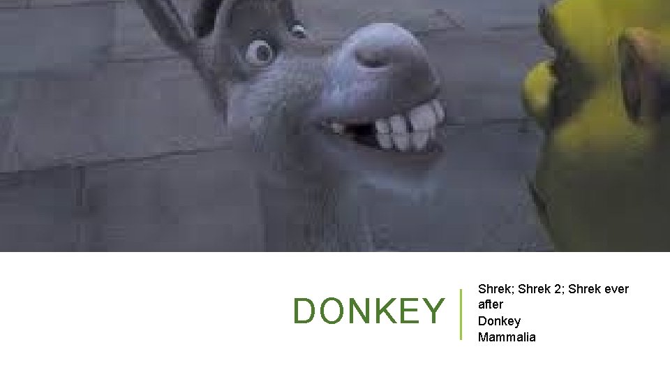 DONKEY Shrek; Shrek 2; Shrek ever after Donkey Mammalia 