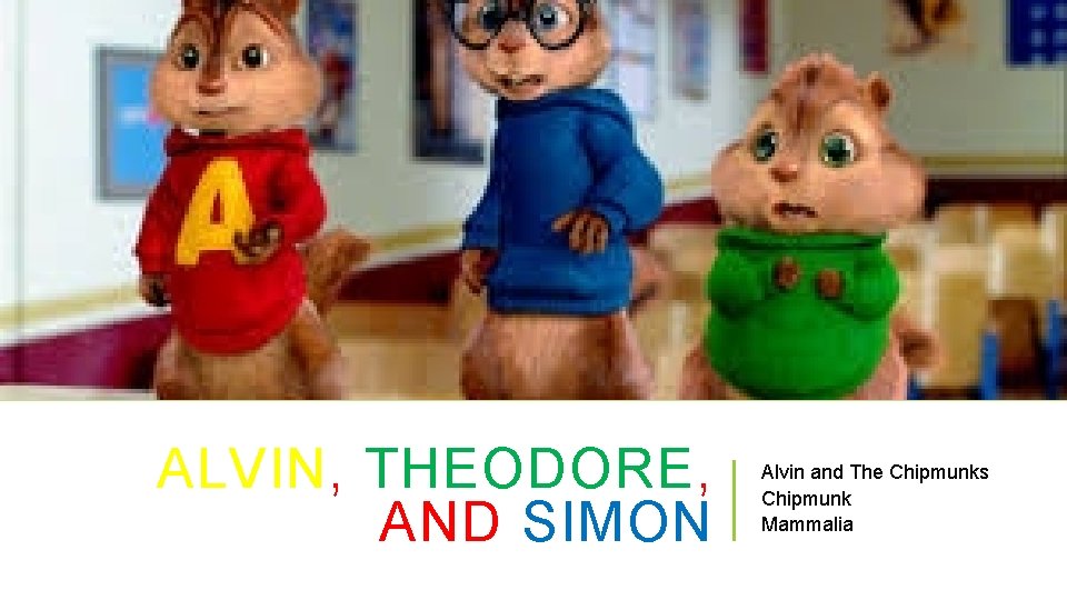 ALVIN, THEODORE, AND SIMON Alvin and The Chipmunks Chipmunk Mammalia 