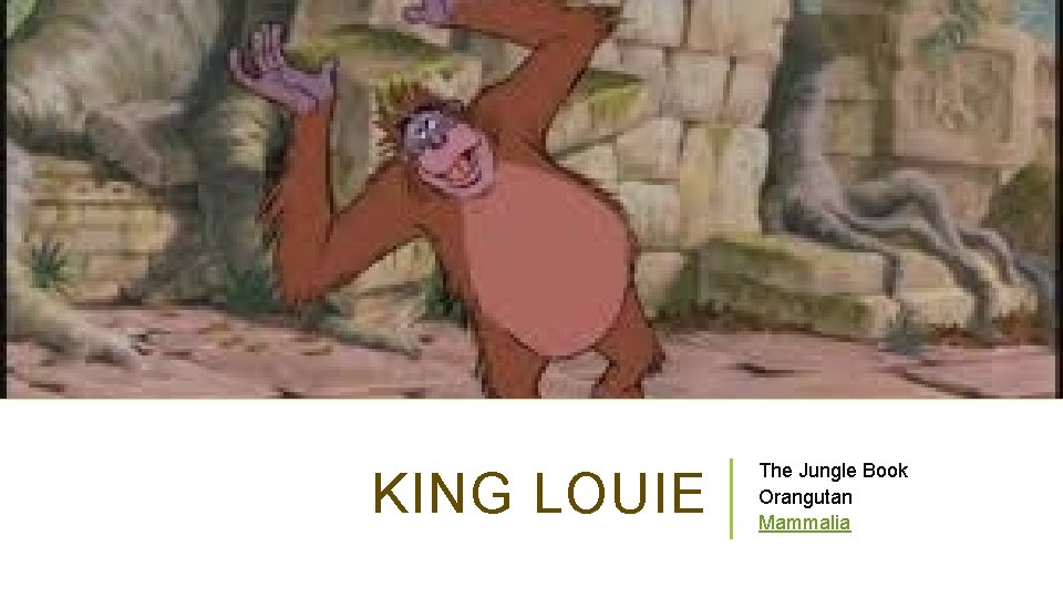 KING LOUIE The Jungle Book Orangutan Mammalia 