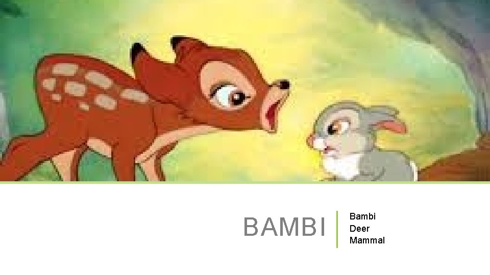 BAMBI Bambi Deer Mammal 
