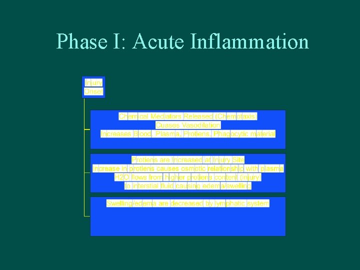 Phase I: Acute Inflammation 