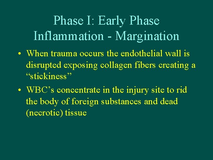 Phase I: Early Phase Inflammation - Margination • When trauma occurs the endothelial wall